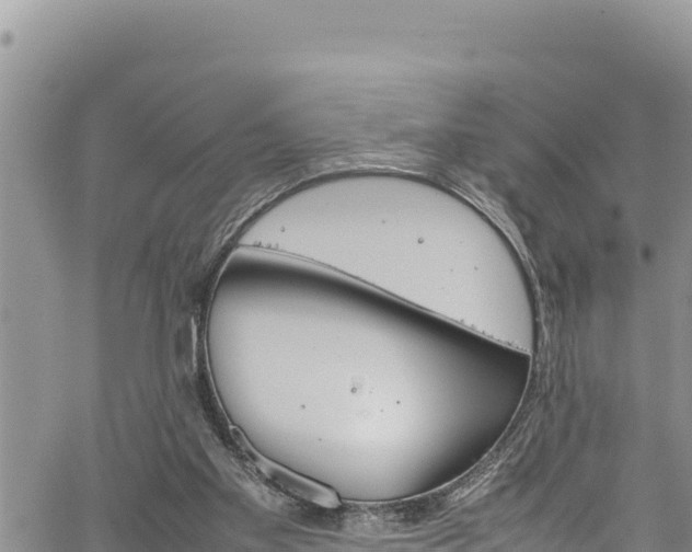 X0000061760109200512050943