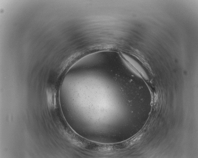 X0000061760110200512050943