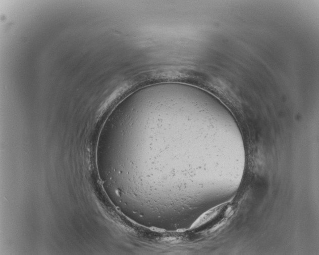 X0000061760111200512050943