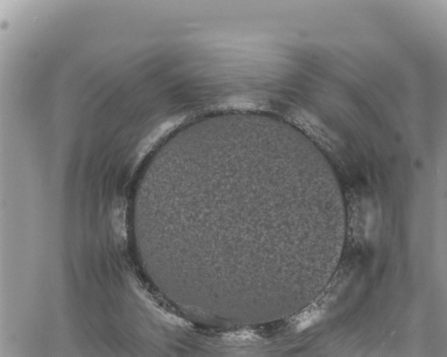 X0000061760112200512050943