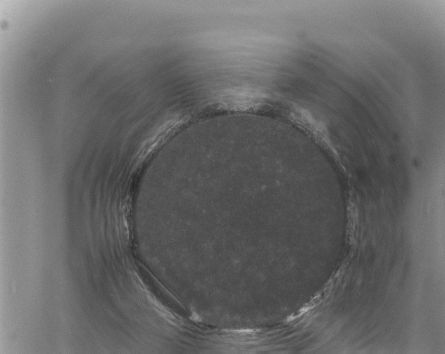 X0000061760114200512050943