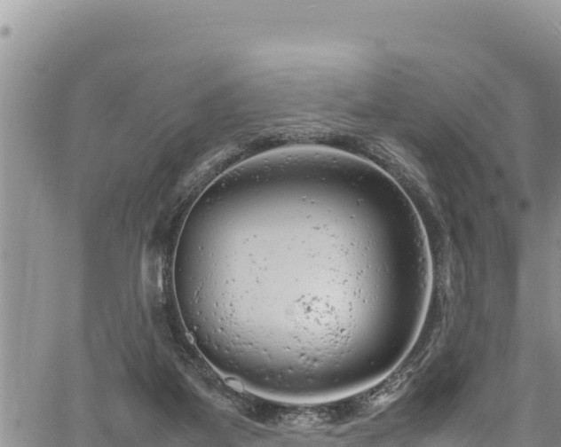 X0000061760115200512050943