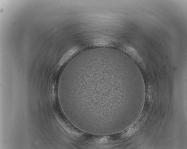 X0000061760116200512050943