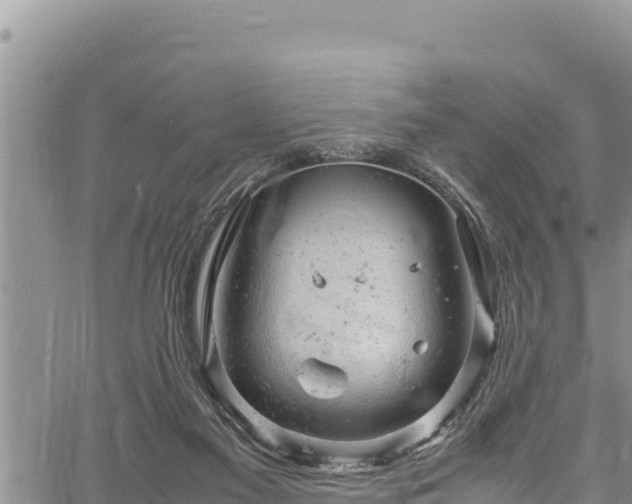 X0000061760117200512050943