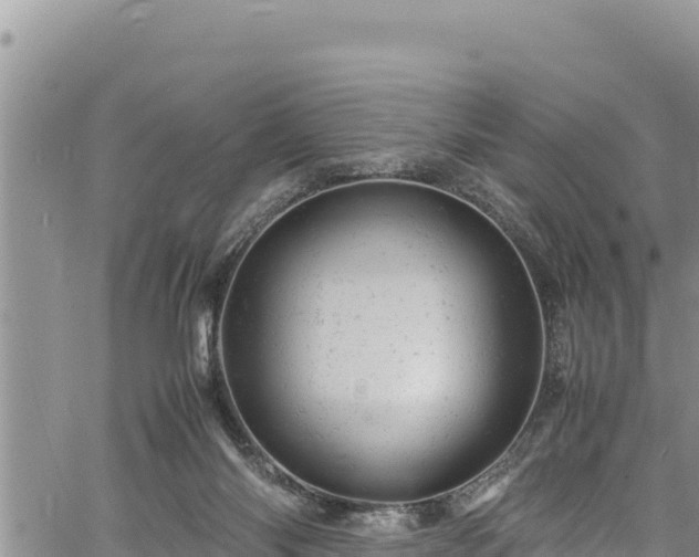 X0000061760118200512050943