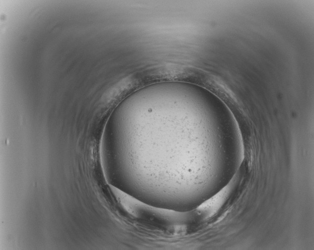 X0000061760119200512050943