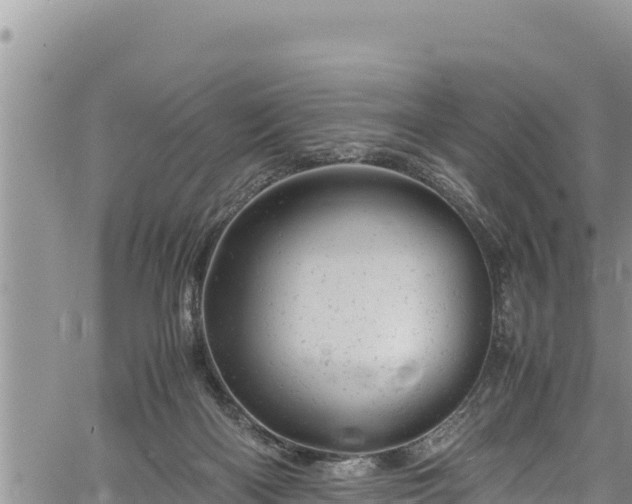 X0000061760122200512050943