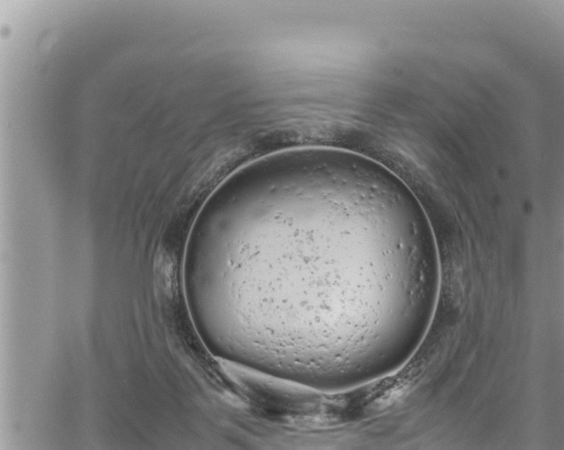 X0000061760123200512050943