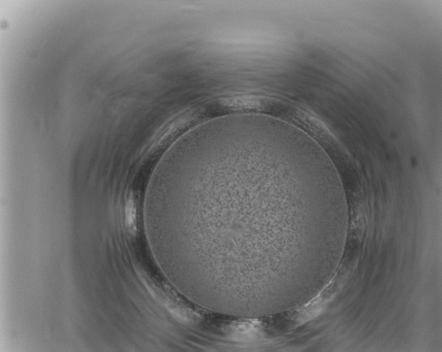 X0000061760124200512050943