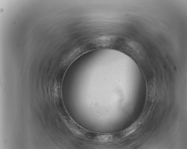 X0000061760126200512050943