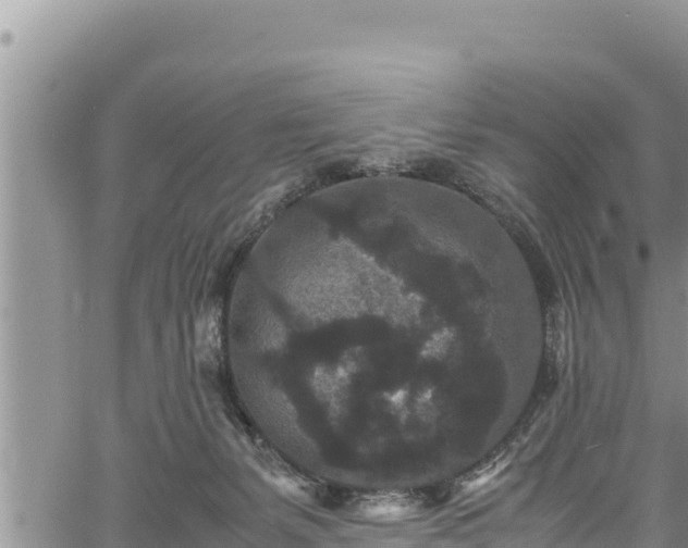 X0000061760127200512050943