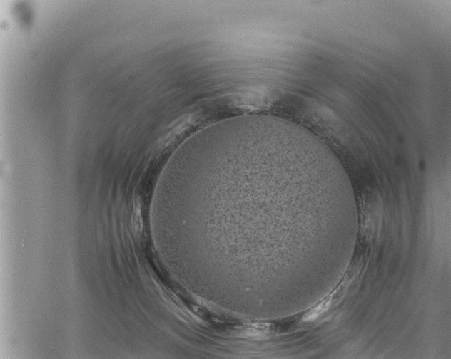 X0000061760128200512050943