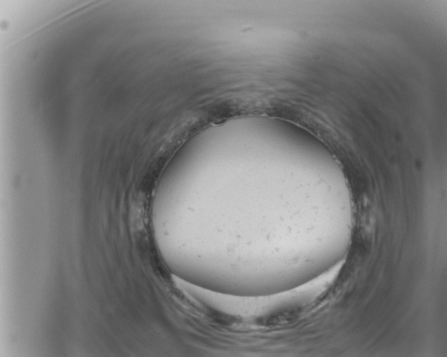 X0000061760133200512050943