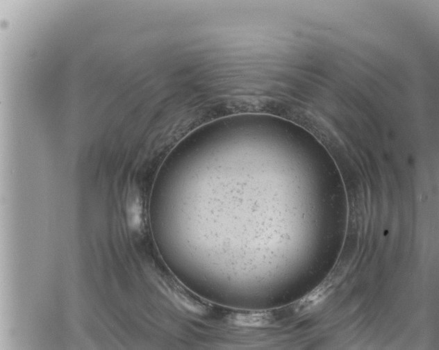 X0000061760134200512050943