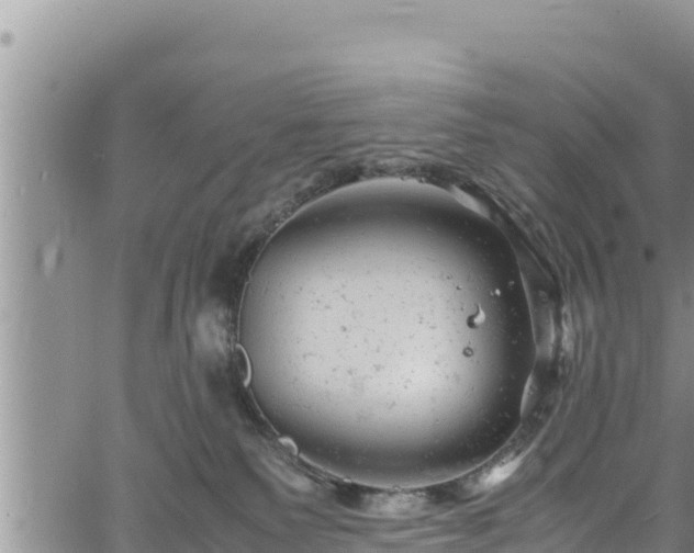 X0000061760135200512050943