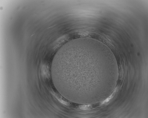 X0000061760136200512050943