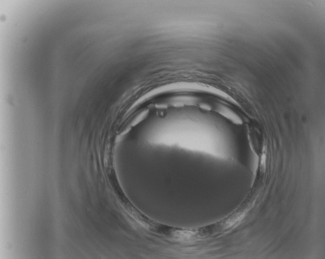 X0000061760139200512050943