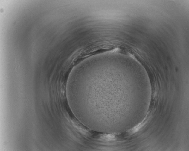 X0000061760140200512050943