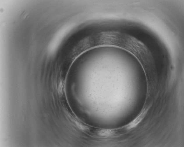 X0000061760142200512050943