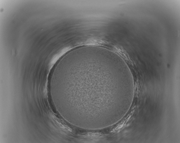 X0000061760292200512050940