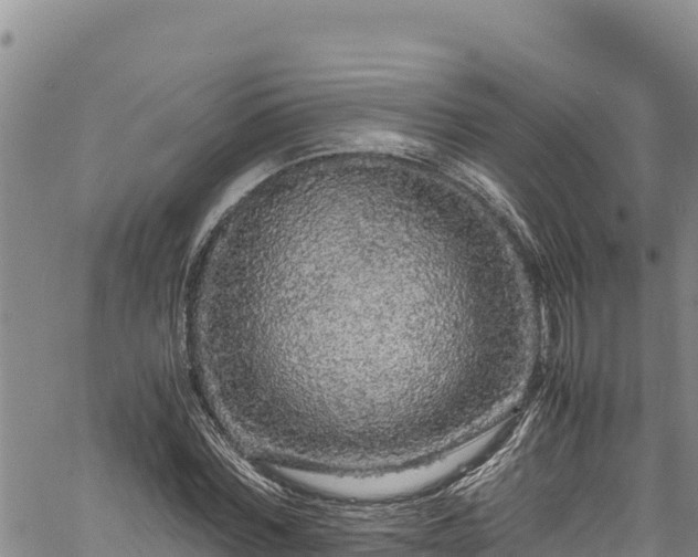 X0000061760780200512050932