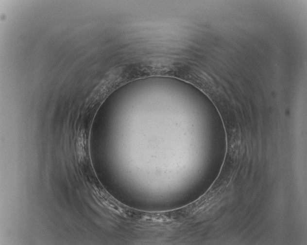 X0000061760866200512050931