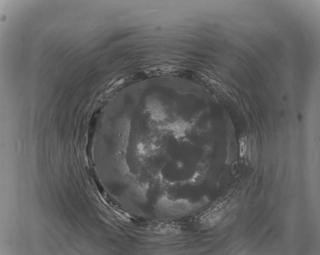 X0000061761011200512050928