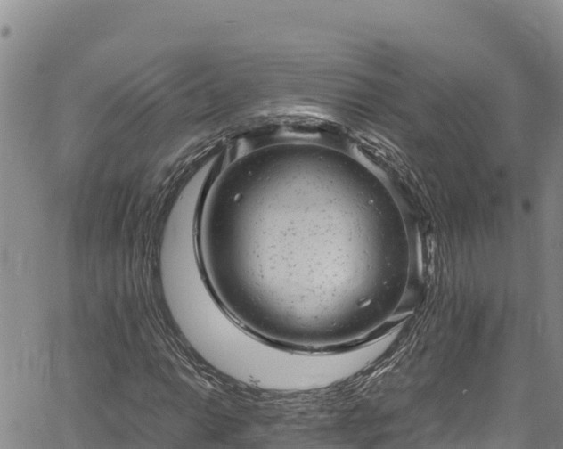 X0000061761014200512050928