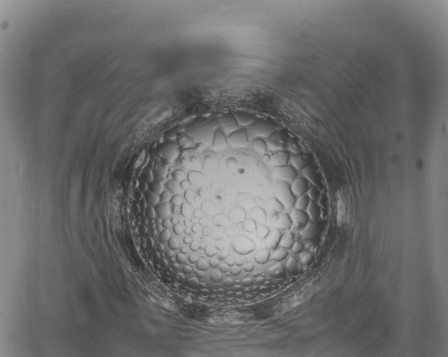 X0000061761059200512050927