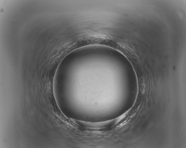 X0000061761061200512050927