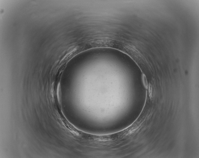 X0000061761107200512050926