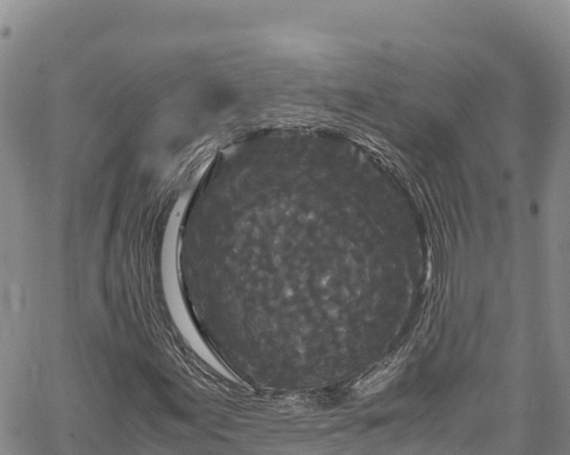 X0000061761155200512050926