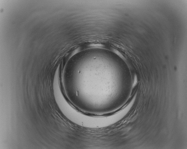 X0000061761202200512050924