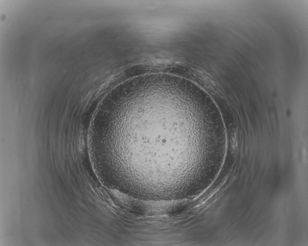 X0000061761204200512050924