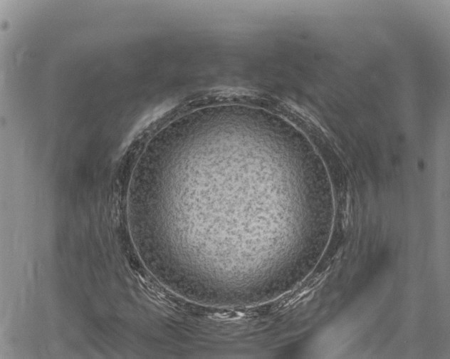 X0000061761207200512050924