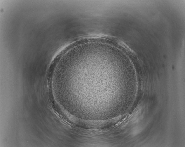 X0000061761208200512050924