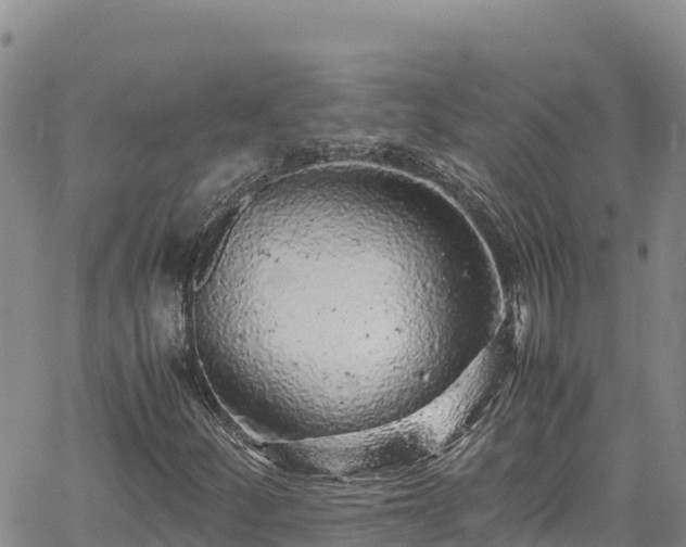 X0000061761252200512050924