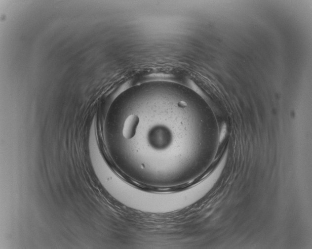 X0000061761298200512050923