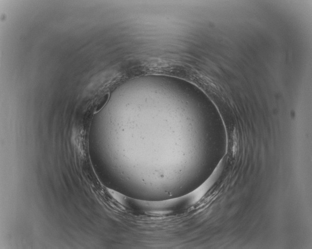 X0000061761346200512050923