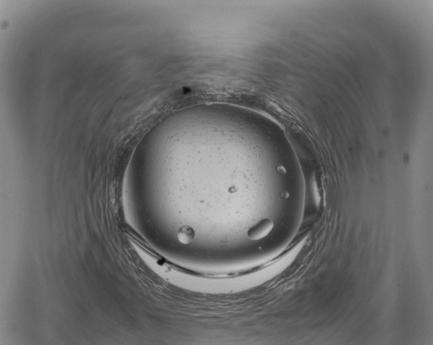 X0000061761347200512050923