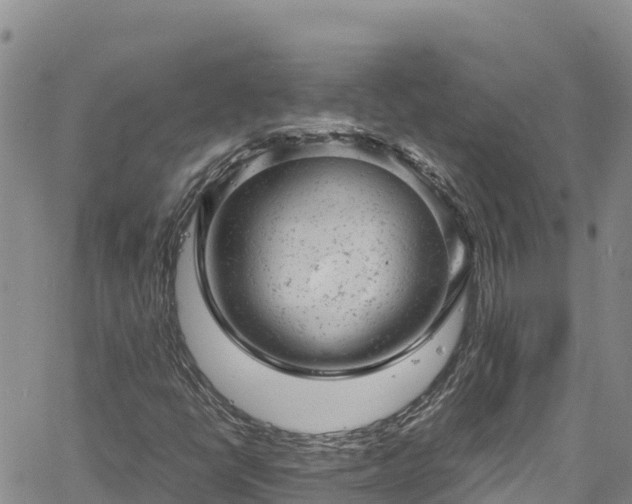 X0000061761398200512050921