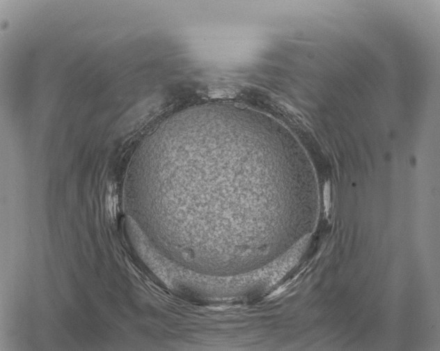 X0000061761443200512050921