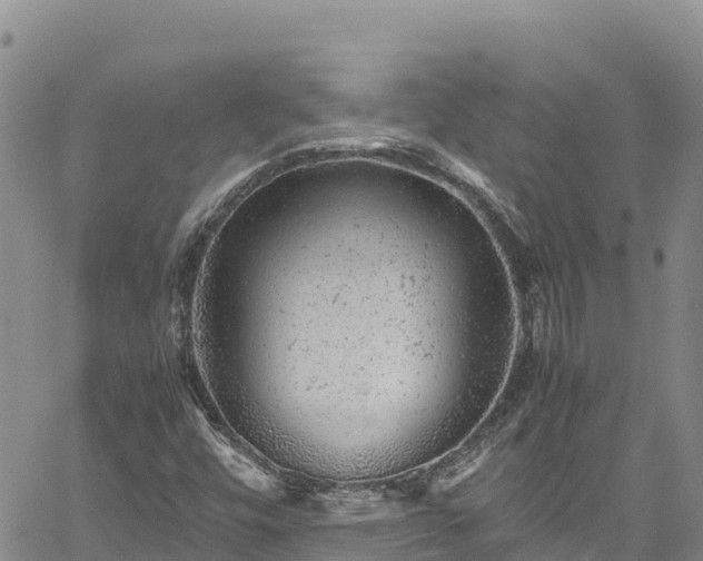 X0000061761448200512050921