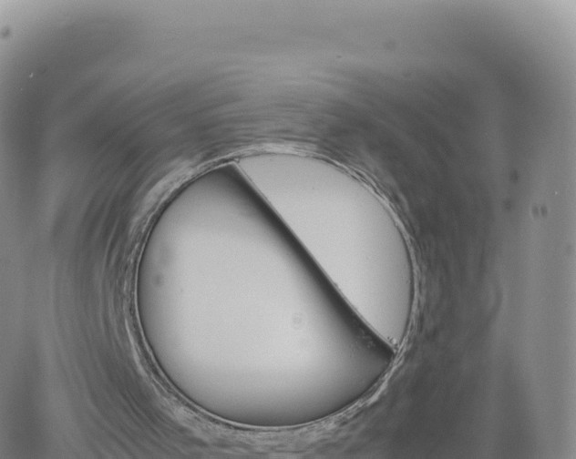 X0000061760001200512091713