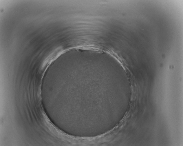 X0000061760002200512091713