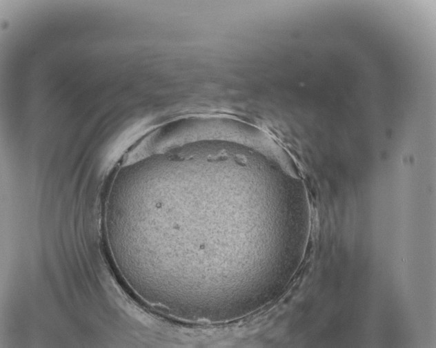 X0000061760005200512091713