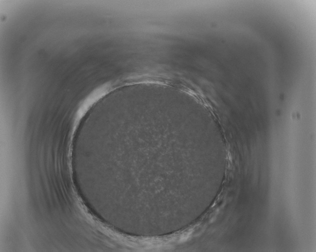 X0000061760006200512091713