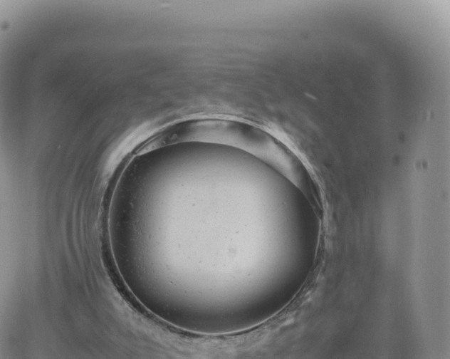 X0000061760007200512091713