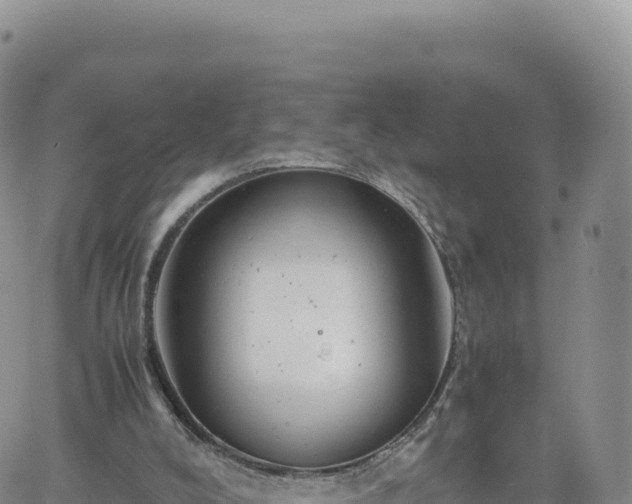 X0000061760008200512091713