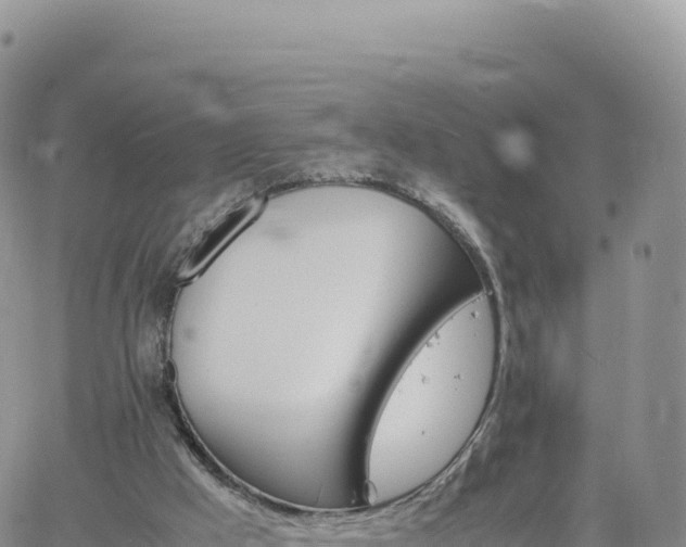 X0000061760009200512091713